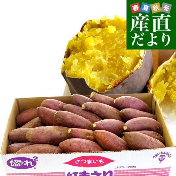 茨城県より産地直送 JAなめがた さつまいも「紅まさり(べにまさり)」 Sサイズ 約5キロ(25本から30本前後） 送料無料 さつま芋 サツマイモ 薩摩芋