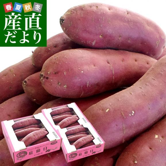 茨城県より産地直送 JAなめがたしおさい さつまいも「紅優甘 (べにゆうか)」 SからSSサイズ 1キロ×3箱セット 送料無料 さつま芋 サツマイモ 薩摩芋