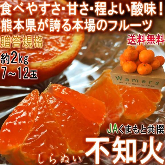 不知火 しらぬい 約2kg 7玉～12玉 熊本県産 露地栽培 光センサー認証 本場で育てた濃厚な甘酸っぱさ！デコポンと同品種のタンゴール