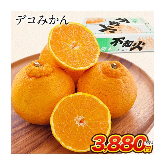 デコみかん 約4kg 10～22玉 送料無料 本場 熊本県産 不知火 旬 の みかん《7-14営業日以内に出荷予定(土日祝日除く)》