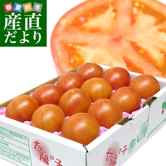 熊本県より産地直送 JAやつしろ 太陽の子セレブ フルーツトマト 約1キロ LからSサイズ(９玉から16玉) 送料無料 とまと