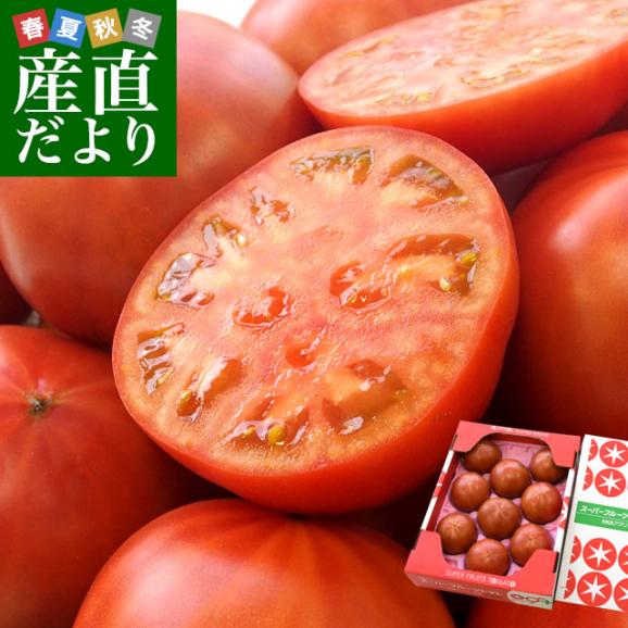 茨城県より産地直送 NKKアグリドリーム スーパーフルーツトマト 9度＋ A品 約1キロ（8玉から16玉）  送料無料 高糖度トマト NKKトマト