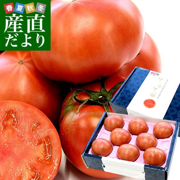 茨城県より産地直送 NKKアグリドリーム スーパーフルーツトマト 9度＋ A品 大粒厳選「てるて姫」約900g（6玉から8玉） 送料無料 高糖度トマト NKKトマト