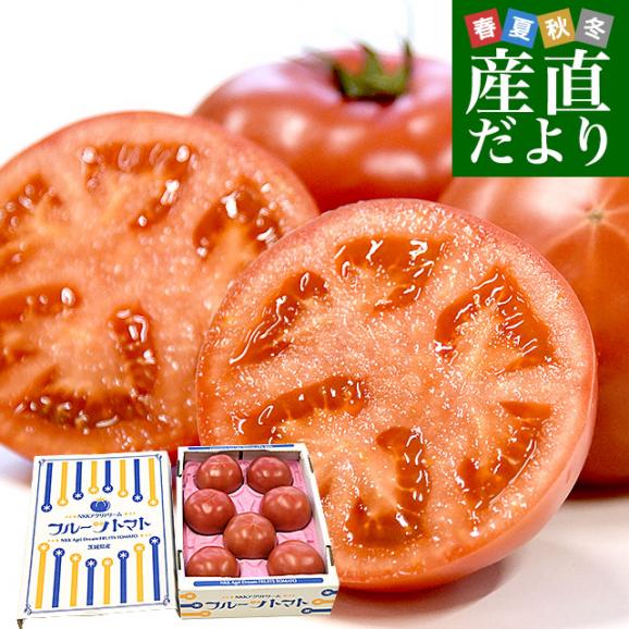 茨城県より産地直送 NKKアグリドリーム フルーツトマト 糖度7度以上 約800g(7玉から13玉) 送料無料 とまと 高糖度トマト
