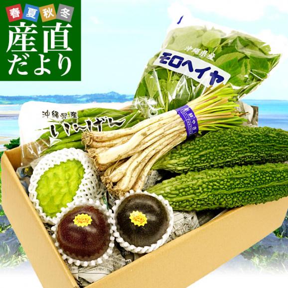 おきなわ果物・おきなわ島野菜　丸ごと　セットボックス！（パッションフルーツ2個・アテモヤ・ゴーヤ2本・さやいんげん・島らっきょ・モロヘイヤ）