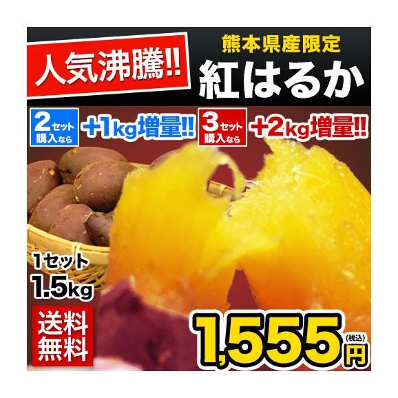 販売解禁 さつまいも 紅はるか べにはるか 1.5kg 送料無料 芋 熊本県産 スイーツ お取り寄せ 1-5営業日以内に発送(土日祝除く)